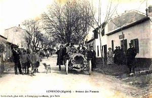 1585- Loverdo - Avenue des Platanes